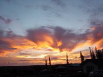 Eveving at Lanai, Hawaii